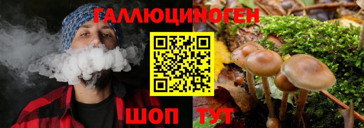 Нефтекамск  магазин продажи наркотиков  Вход с VPN  Псилоцибиновые грибы Cubensis  Галлюциногенные грибы GOLDEN TEACHER 